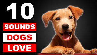 Top 10 Sounds Dogs Love To Hear The Most GUARANTEED [upl. by Annerahs986]