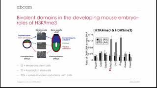 Regulation of Bivalent Domains by Histone Modifications [upl. by Fanchet896]