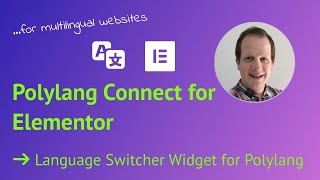 Elementor Language Switcher Widget for Polylang  WordPress multingual [upl. by Trovillion970]