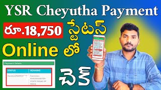 How to Check YSR Cheyutha Payment Status Online 2024  YSR Cheyutha 2024 Payment Status [upl. by Huntlee]