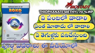 AMISTAR FUNGICIDE SYNGENTA IN TELUGU  AMISTAR DOSAGE FUTURE TECH AGRICULTURE TELUGU [upl. by Lertsek]