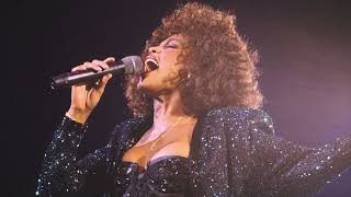 Whitney Houston  I Have Nothing Wallies Remix [upl. by Ardnal]