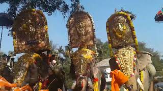 Cherpulassery Parthan vs Mangalamkunn Ayyappan Thalapokkam Parthan mass entry [upl. by Bathulda128]