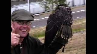 🇧🇪 Effarouchement de pigeons Ascenseurs de Strepy Thieu 2003 [upl. by Anelaj]