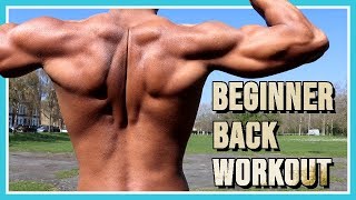 Calisthenics Back Workout for Absolute Beginners START HERE [upl. by Hafirahs25]