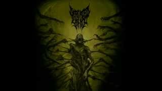 DEFEATED SANITY  NARAKA NEW 2013 [upl. by Lelah]