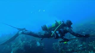 March 2021 Mindarie Dive [upl. by Urissa]