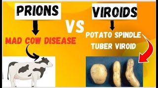 Subviral Particles  Prion and Viroid  prions vs Viroids [upl. by Dahsra40]