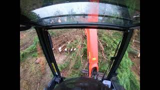 Timberwolf TW 280 amp Kubota digger KX27 wood chipping TFG Tree Service [upl. by Aryk]