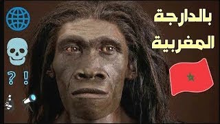 تاريخ البشر «الإنسان» على وجه الأرض بالدارجة المغربية الهوموسابيان homo sapiens [upl. by Luthanen521]