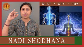 Nadi Shodhana Pranayama  Alternate Nostril Breathing [upl. by Ajssatan]