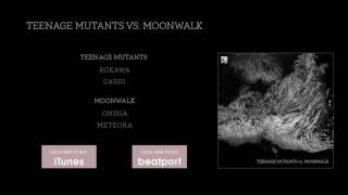 Moonwalk  Meteora Stil vor Talent [upl. by Nevets]