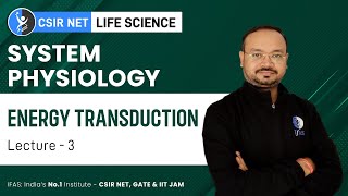 Energy Transduction of System Physiology  CSIR NET Life Science Exam 2023 [upl. by Akiehsat]