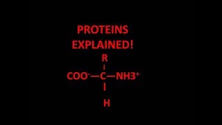 Proteins explained [upl. by Baun]