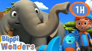 🐘 Blippi learns about Elephants🐘  Animals for Kids  Animal Cartoons  Funny Cartoons [upl. by Vachel]