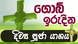 ගොබ් ඉරුදින දිව්‍ය පූජා යාගය 20230324  PALM SUNDAY SINHALA MASS  Seth Fm 1031 [upl. by Ailsun]