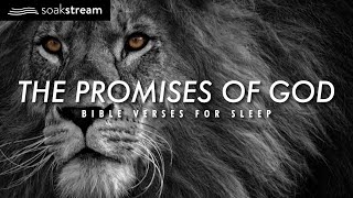 The Promises of God  Bible Verses For Sleep [upl. by Einafpets]