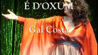 GAL COSTA É DOXUM [upl. by Miyasawa]