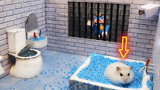 🐹Hamster Escapes the Awesome 5Star Luxury Prison Maze with Bathtub🐹 for Pets in real life [upl. by Asserrac]