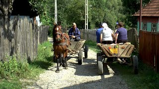 Romania Village Life in Transylvania [upl. by Brittni]