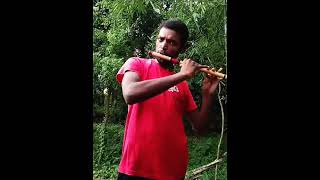 Kesariya tera ishq hai piya flute cover short ytshort। ranbir kapoor Brahmastra song। flute music [upl. by Marmaduke592]