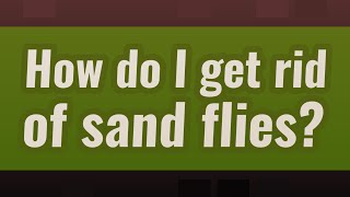 How do I get rid of sand flies [upl. by Tallou]