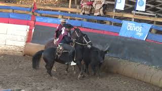 RODEO CLUB CAUQUENESCATEGORIA PROVINCIAL 3 SERIES  27 Y 28 DE MAYO DE 2023  SERIE CRIADEROS [upl. by Hilbert]