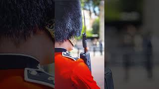 Grenadier Guard [upl. by Giulietta]