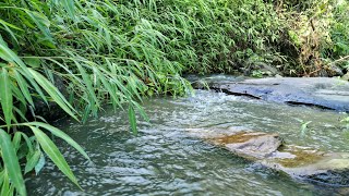 River sounds for positive mindsetNature soundcalming water flowing sounds for relaxationASMR [upl. by Pelligrini]