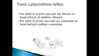 Brainstem reflexes [upl. by Leirol]