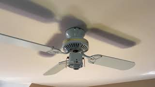 Ceiling Fan Fun [upl. by Anaitsirc]