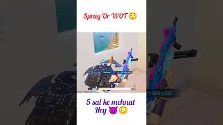 5 sal ka mehnat Hey 👋👋 Spray King 👑shortvideo viral bgmi [upl. by Aniram]