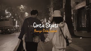 Cinta Sejati  BCL Tiktok VersionLembah yang berwarna Membentuk melekuk memeluk kitaWith Lyrics [upl. by Wollis633]