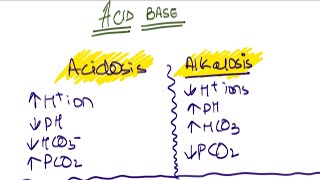 HY Acid Base Disorders for USMLE [upl. by Japeth]