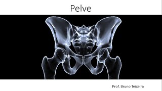 Anatomia da Pelve  Diâmetros e Morfologias Pélvicas [upl. by Rikki]