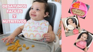 IDEAS DE DESAYUNOS PARA BEBES  LOS DESAYUNOS DE MI BEBE DE 10 MESES [upl. by Nahtad711]