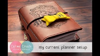 My current planner setup Harry Potter A6 TN [upl. by Clarance]