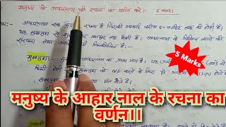 मनुष्य के आहार नाल के रचना का वर्णन करें पाचन तंत्रHuman digestive system in Hindi [upl. by Iram]