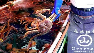 Hakodate Seafood Market  Japan [upl. by Akehsal]