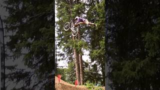 S Elmer mit viel style am whip off bikekingdom mtb downhill bestwhip mtbwhip best bestmtb [upl. by Tnahs240]