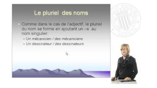 Le pluriel des adjectifs et des noms  2932  UPV [upl. by Ennazzus]