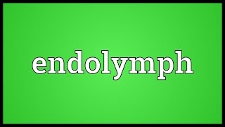 Endolymph Meaning [upl. by Nnaear]