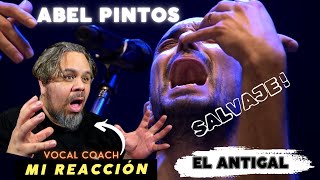 ABEL PINTOS EL ANTIGAL VOCAL COACH REACCIONA abelpintos elantigal reaccion [upl. by Drisko]