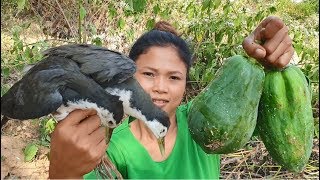 cooking white breasted waterhen with papaya  eating delicious [upl. by Asinet612]