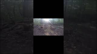 Mtb Trail Building Whale Tail  Gap Jump Coolest Feature [upl. by Marlin]