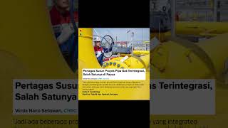 Pertagas Susun Proyek Pipa Gas Terintegrasi Salah Satunya di Papua [upl. by Airasor840]