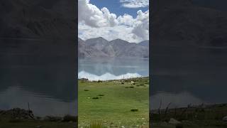 Pangong lake Ladakh pangonglake [upl. by Nwahsaj]