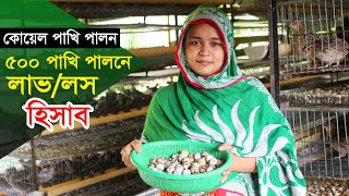 কোয়েল পাখি পালন 500 পাখি পালনে লাভ লস হিসাব  Koyel pakhi palan  Quail bird farming in bangladesh [upl. by Gerhard]