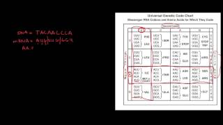 Genetics 6 Universal Genetic Code Chart [upl. by Imar]