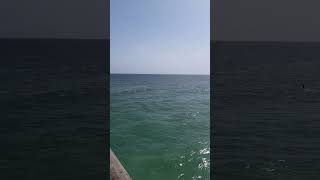 group of people surfing at Navarre Beach during large surf [upl. by Anivid]